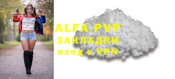 индика Аркадак