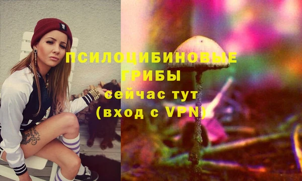 ALPHA-PVP Армянск