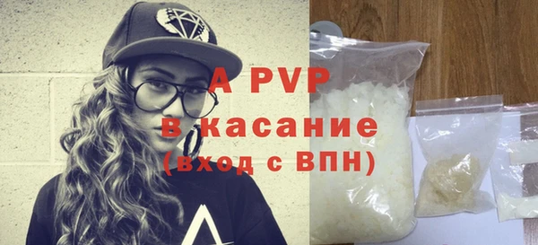 индика Аркадак